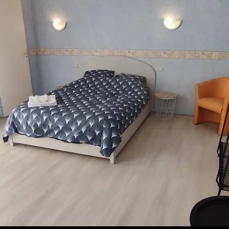 Duplex Spacieux En Hypercentre Avec Garage Prive Apartment