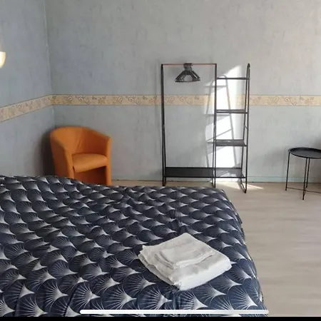 Duplex Spacieux En Hypercentre Avec Garage Prive * Agen