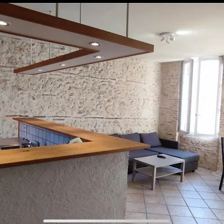 Duplex Spacieux En Hypercentre Avec Garage Prive Agen