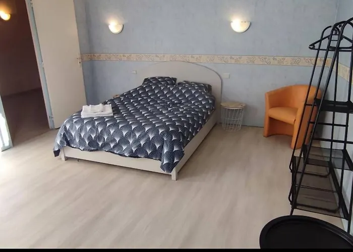 Duplex Spacieux En Hypercentre Avec Garage Prive Apartment