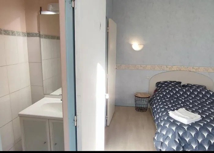 Apartment Duplex Spacieux En Hypercentre Avec Garage Prive *