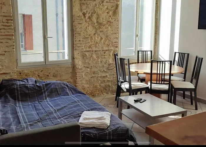 Duplex Spacieux En Hypercentre Avec Garage Prive Apartment Agen