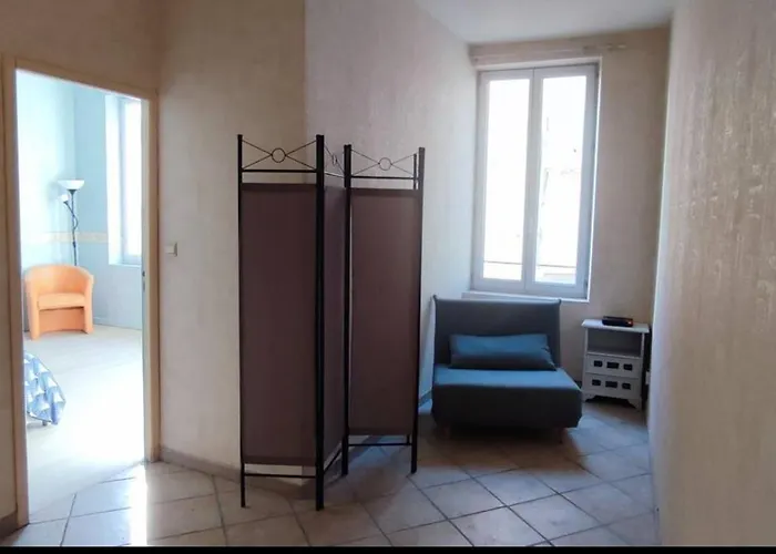 Apartment Duplex Spacieux En Hypercentre Avec Garage Prive Agen