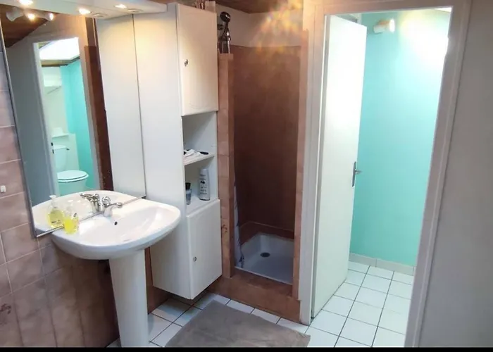 Apartment Duplex Spacieux En Hypercentre Avec Garage Prive *